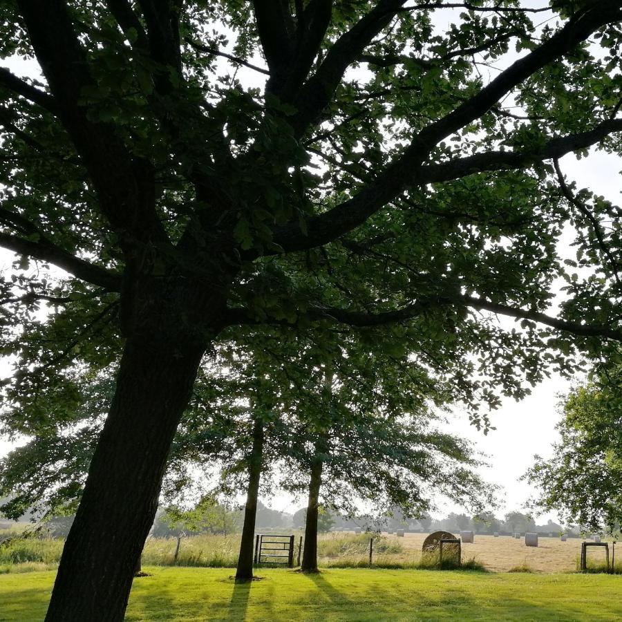 Le Gite Du Fou Logement 8 Pers 13Mn Puy Du Fou Saint-Amand-sur-Sevre Buitenkant foto